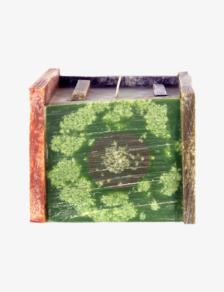 Resilience - Image 4