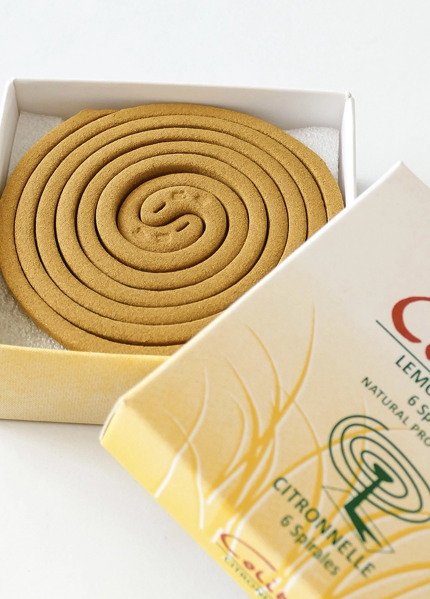 Colibri Spiral (Pack of 6)