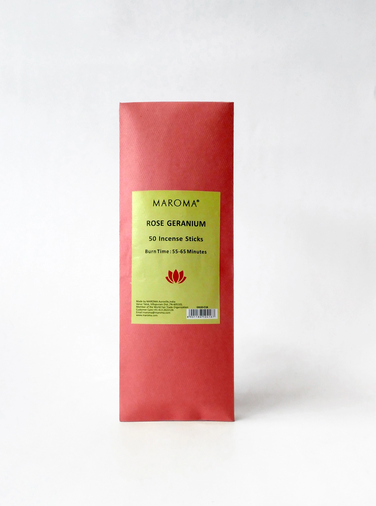 Rose Geranium - Pack of 50