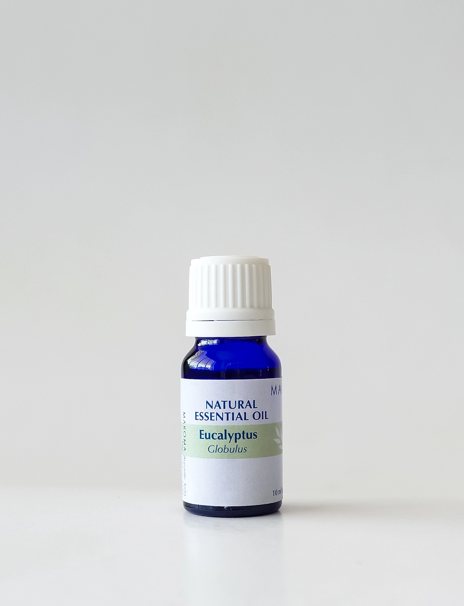 Eucalyptus Globulus 100% Natural Essential Oil - 10ml